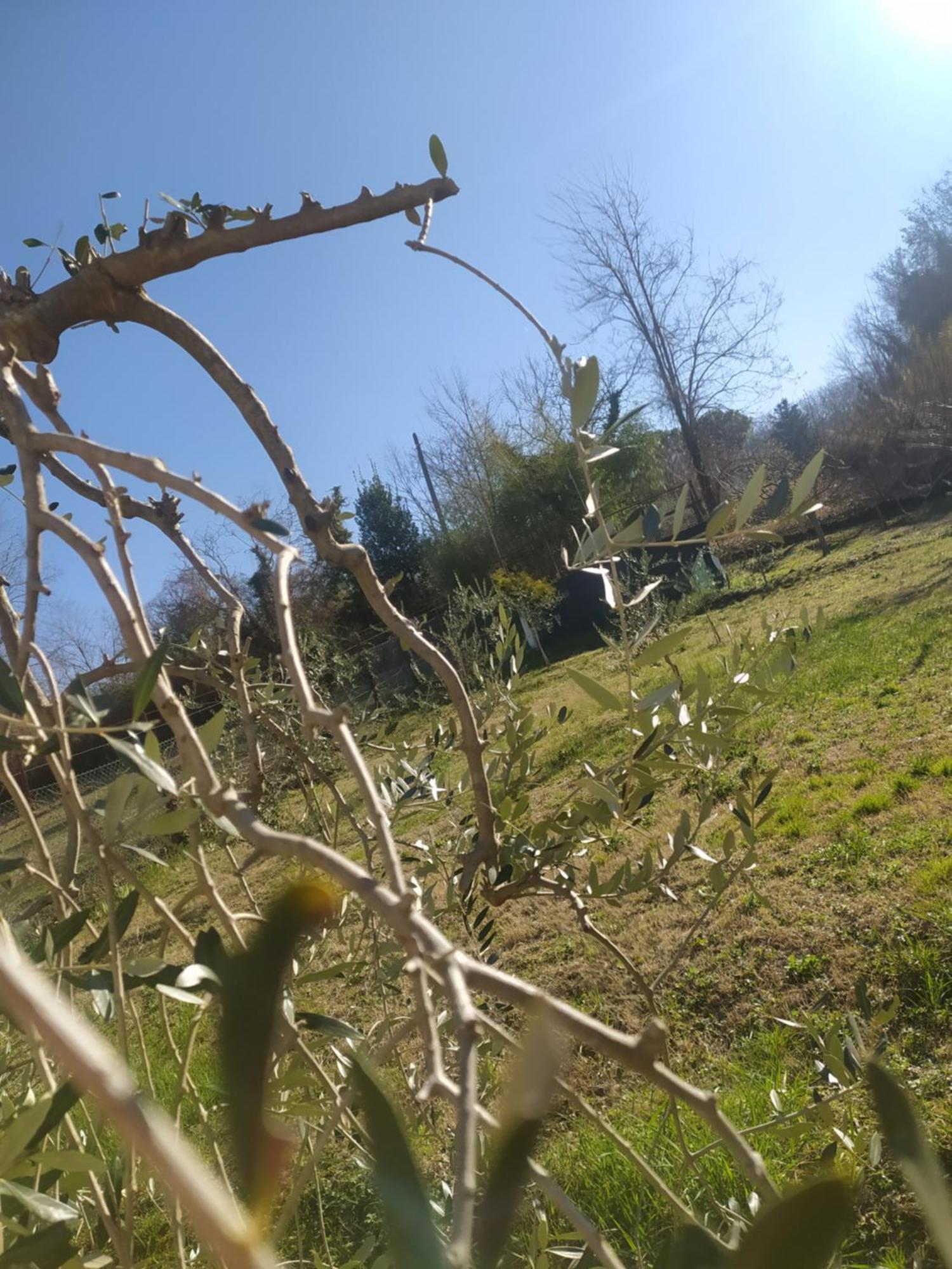 Il Giramondo Montelabbate Buitenkant foto