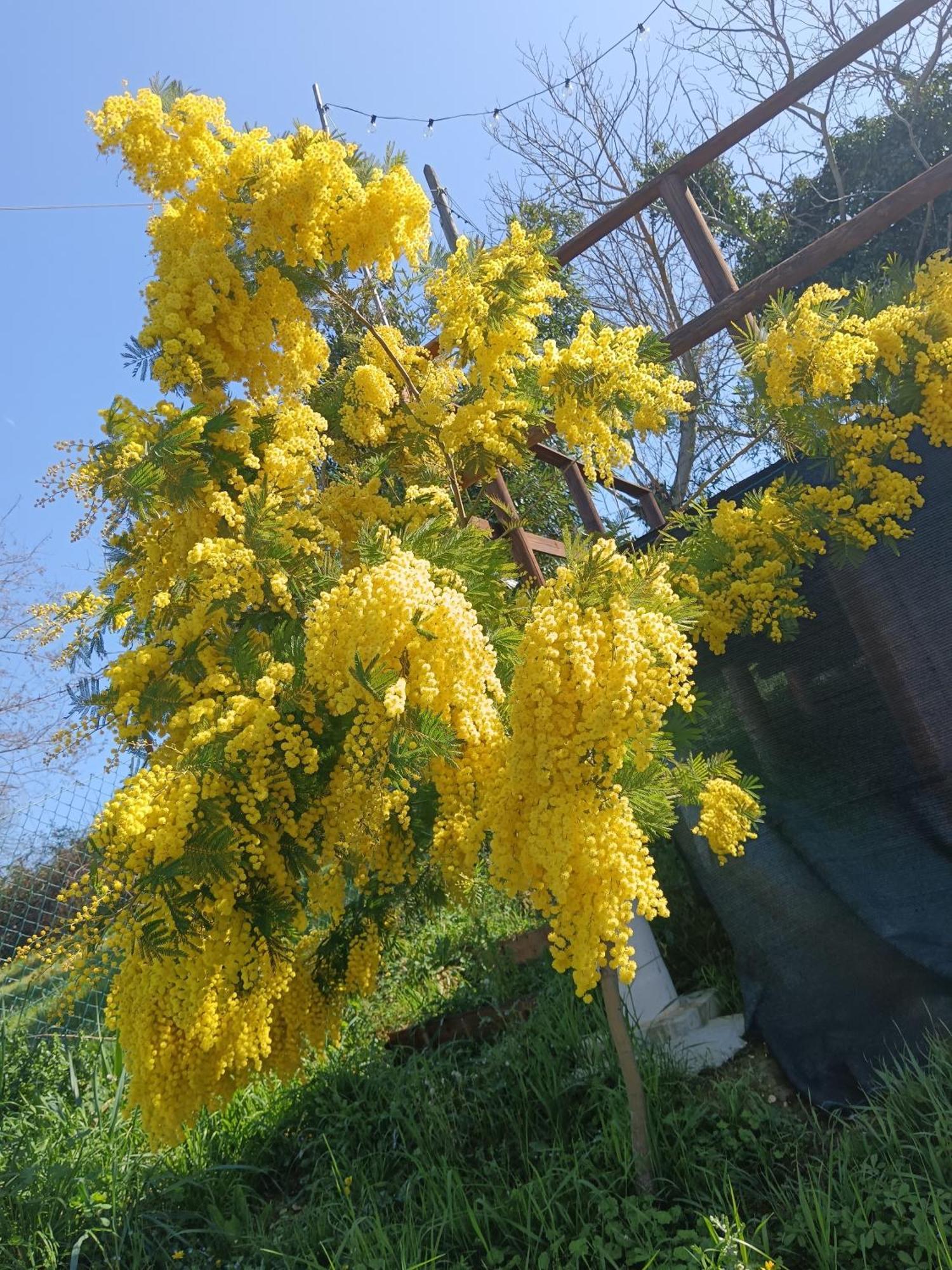 Il Giramondo Montelabbate Buitenkant foto